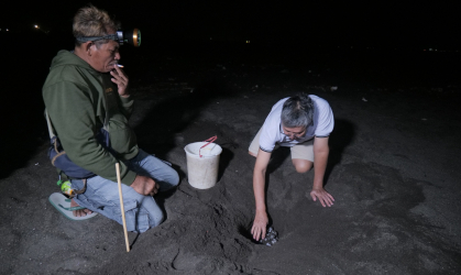 Menemukan Penyu Bertelur di Pantai Boom