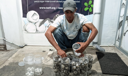 Menemukan Penyu Bertelur di Pantai Sobo