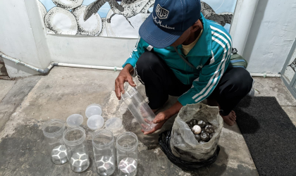 Menemukan Penyu Bertelur di Pantai Boom