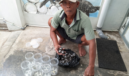Menemukan Penyu Bertelur di Pantai Boom