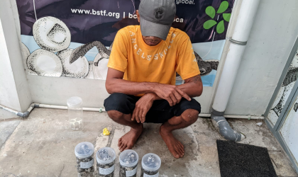 Menemukan Penyu Bertelur di Pantai Sobo