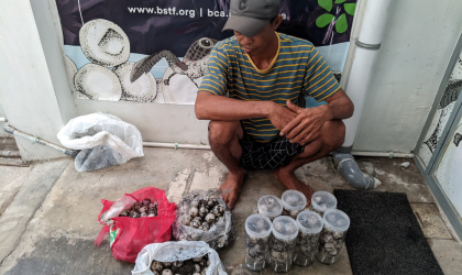 Menemukan Penyu Bertelur di Pantai Sobo