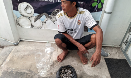 Menemukan Penyu Bertelur di Pantai Pulau Santen