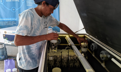 Menemukan Penyu Bertelur di Pantai Bulusan