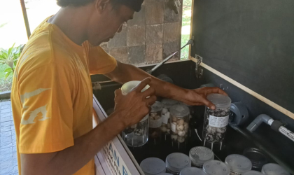 Menemukan Penyu Bertelur di Pantai Pulau Santen
