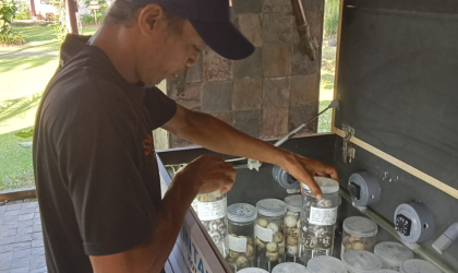 Menemukan Penyu Bertelur di Pantai Kramat