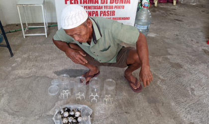 Menemukan Penyu Bertelur di Pantai Mirah