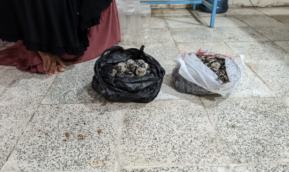 Menemukan Penyu Bertelur di Pantai Sobo