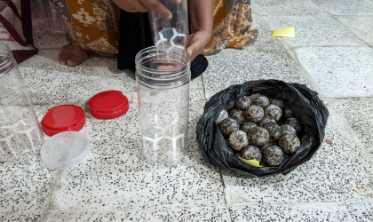 Menemukan Penyu Bertelur di Pantai Donosuko