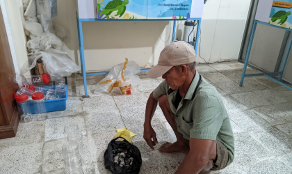 Menemukan Penyu Bertelur di Pantai Mirah