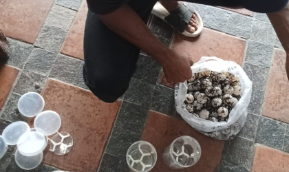 Menemukan Penyu Bertelur di Pantai Boom