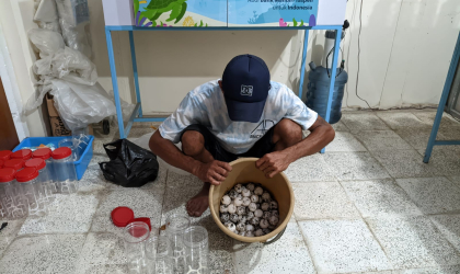 Menemukan Penyu Bertelur di Pantai Pulau Santen