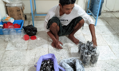 Menemukan Penyu Bertelur di Pantai Bulusan