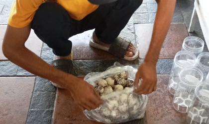 Menemukan Penyu Bertelur di Pantai Pulau Santen