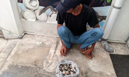 Menemukan Penyu Bertelur di Pantai Pulau Santen