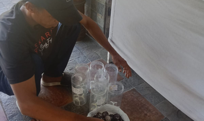 Menemukan Penyu Bertelur di Pantai Pulau Santen 