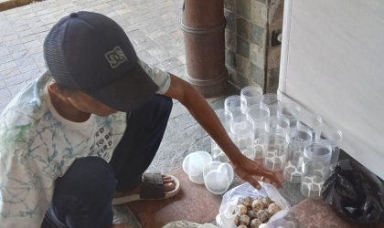 Menemukan Penyu Bertelur di Pantai Pulau Santen 