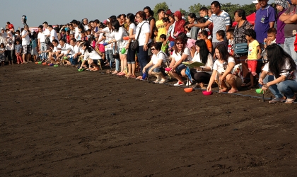 Pelepasliaran Tukik YPPI 3