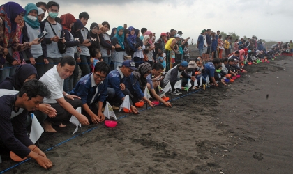 Pelepasliaran Tukik Bersama mahasiswa FKH Unair Surabaya