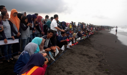 Pelepasliaran Tukik Bersama mahasiswa FKH Unair Surabaya