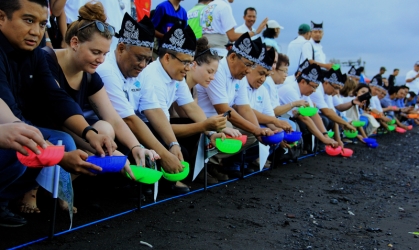 Pelepasliaran Tukik Dalam Acara Pencanangan Pelabuhan Marina