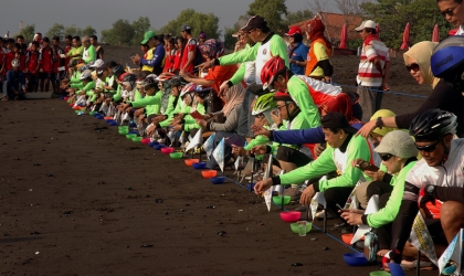 Pelepasliaran Tukik Bersama Alumnus kedokeran Universitas Brawijaya