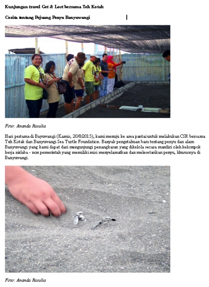 Pelepasliaran Tukik Bersama Majalah Traveler GetLost