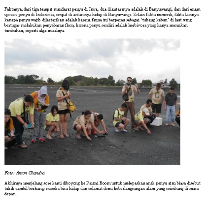 Pelepasliaran Tukik Bersama Majalah Traveler GetLost