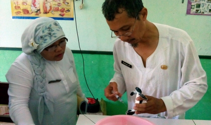 Pemeriksaan Tukik Hijau