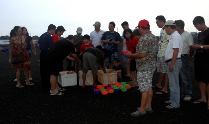 Pelepasliaran Tukik Bersama Umat TITD Tik Liong Tian Rogojampi