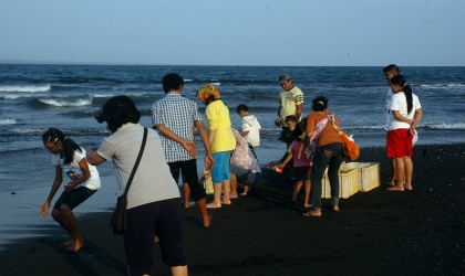 Pelepasliaran Tukik Bersama Umat Vihara Samatha Dhika Dharma