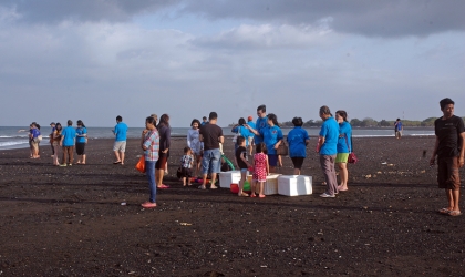 Pelepasliaran Tukik Bersama Komunitas Warga Genteng