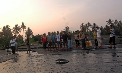 Penyelamatan Penyu Sisik di Pantai Solong