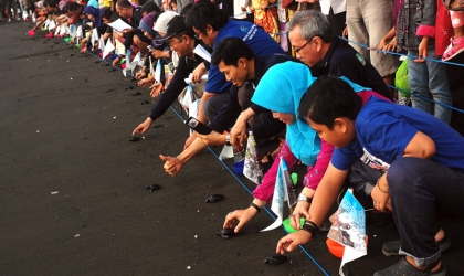 Pelepasliaran Tukik Bersama HAPPI