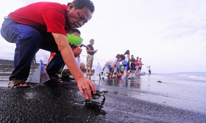 Pelepasliaran Tukik Bersama Umat TITD Tik Liong Tian Rogojampi