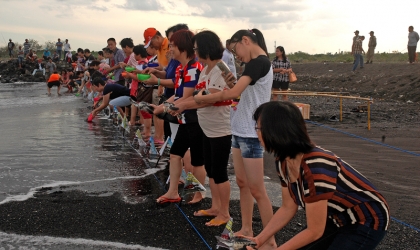 Pelepasliaran Tukik Bersama Umat TITD Tik Liong Tian Rogojampi