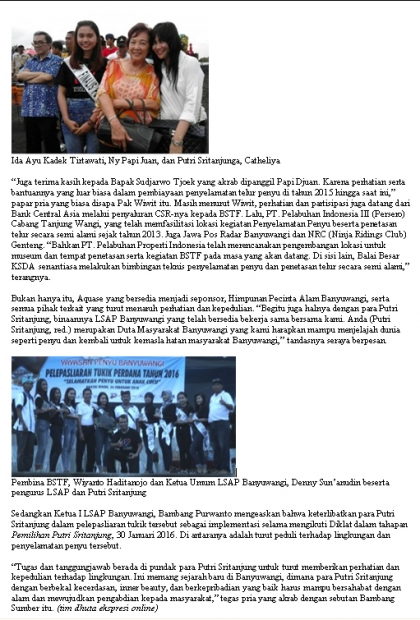 Pelepasliaran Tukik Perdana di Tahun 2016 Bersama Para Pengusaha