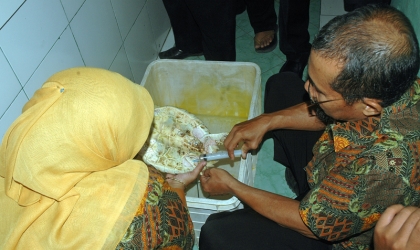 Pemeriksaan Kesehatan Penyu di Dinas Peternakan Banyuwangi