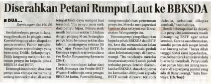 Penyelamatan Penyu di Pantai Wongsorejo