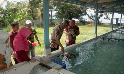 Kunjungan Dirjen KSDAE