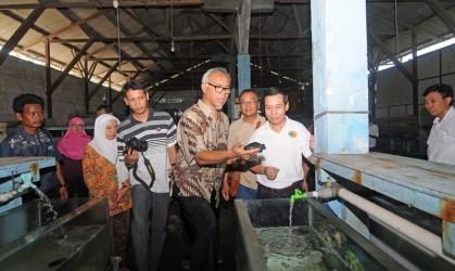 Kunjungan Dirjen KSDAE