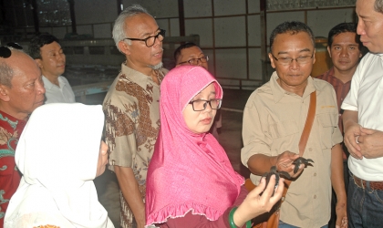 Kunjungan Dirjen KSDAE