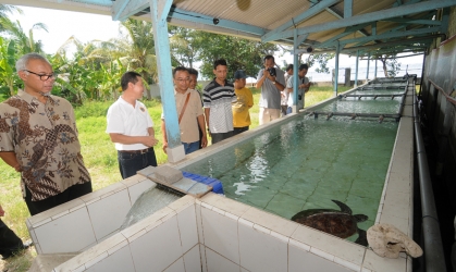 Kunjungan Dirjen KSDAE