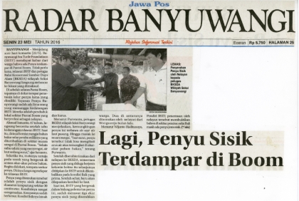 Penyelamatan Penyu Sisik di Pantai Boom