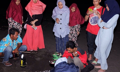 Penyu Bertelur di Pantai Boom