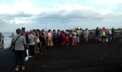 Pelepasliaran Tukik Bersama Ikatan Dokter Indonesia