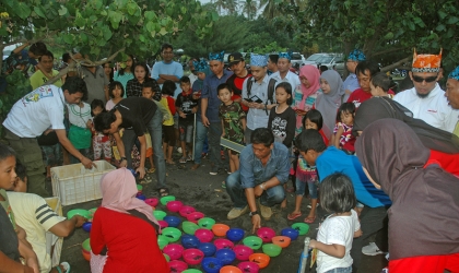 Pelepasliaran Tukik Bersama SIswa SD Klatak