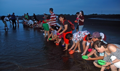 Pelepasliaran Tukik Bersama YPPI