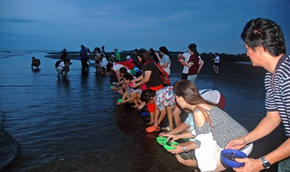 Pelepasliaran Tukik Bersama YPPI