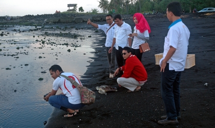 Pelepasliaran Penyu Setelah Tersangkut Jaring Nelayan